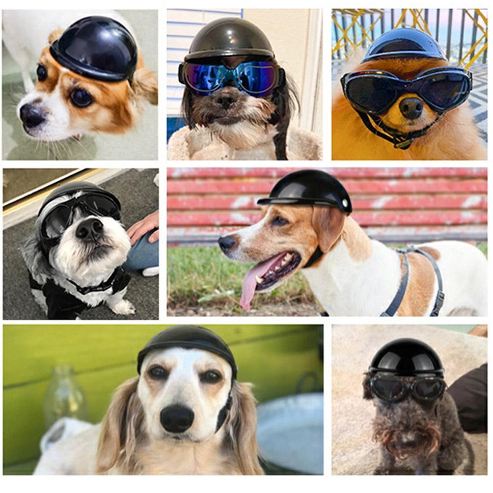 Conjunto de casco con gafas para mascotas, divertido gorro de motocicleta para perros pequeños y medianos, Bulldog Francés, accesorios de disfraces de verano
