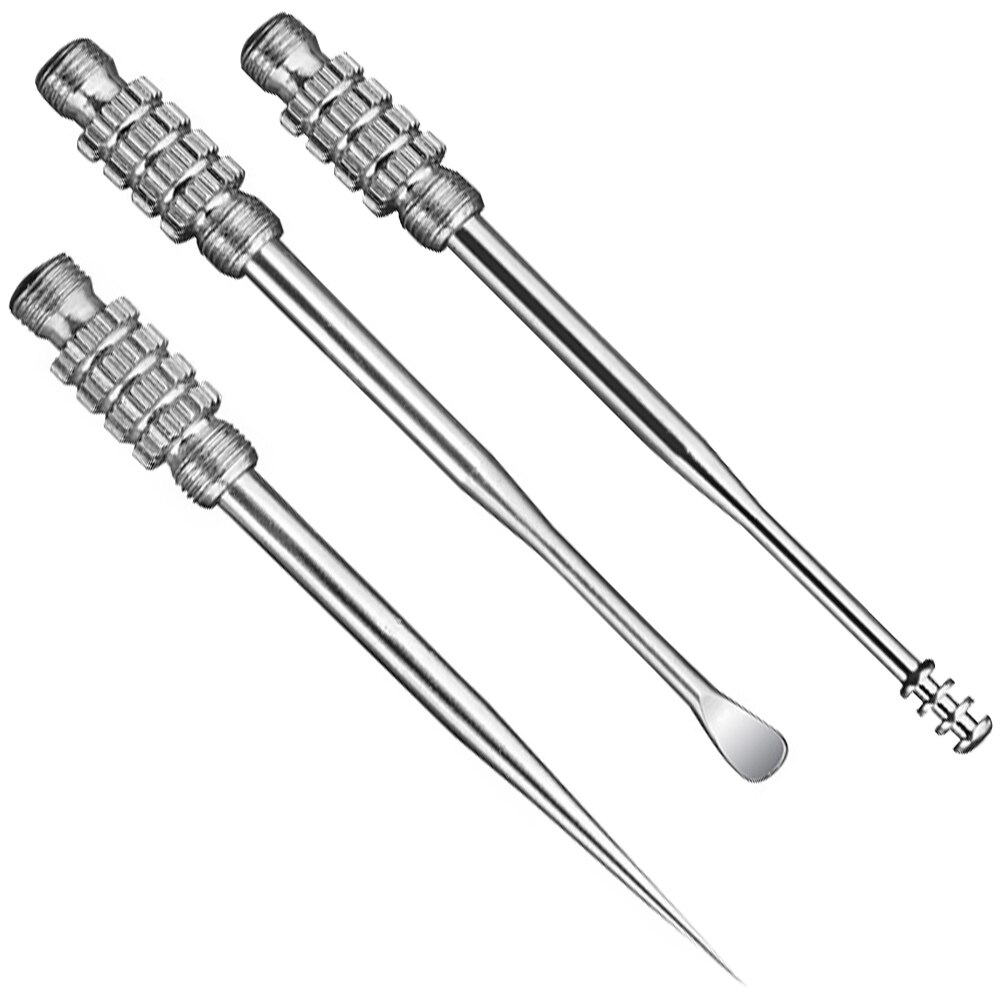3pcs Earwax Spoon Ear Scoops Stainless Steel Toothpicks Ear Wax Picking Tool for Outdoor