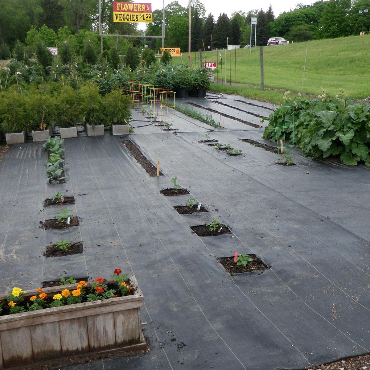 Agricultural Permeable Weeding Cloth Garden Ground Cover Anti-Grass Greenhouse Weeds Barrier Fabric Plant Mat Cover Multi-Size