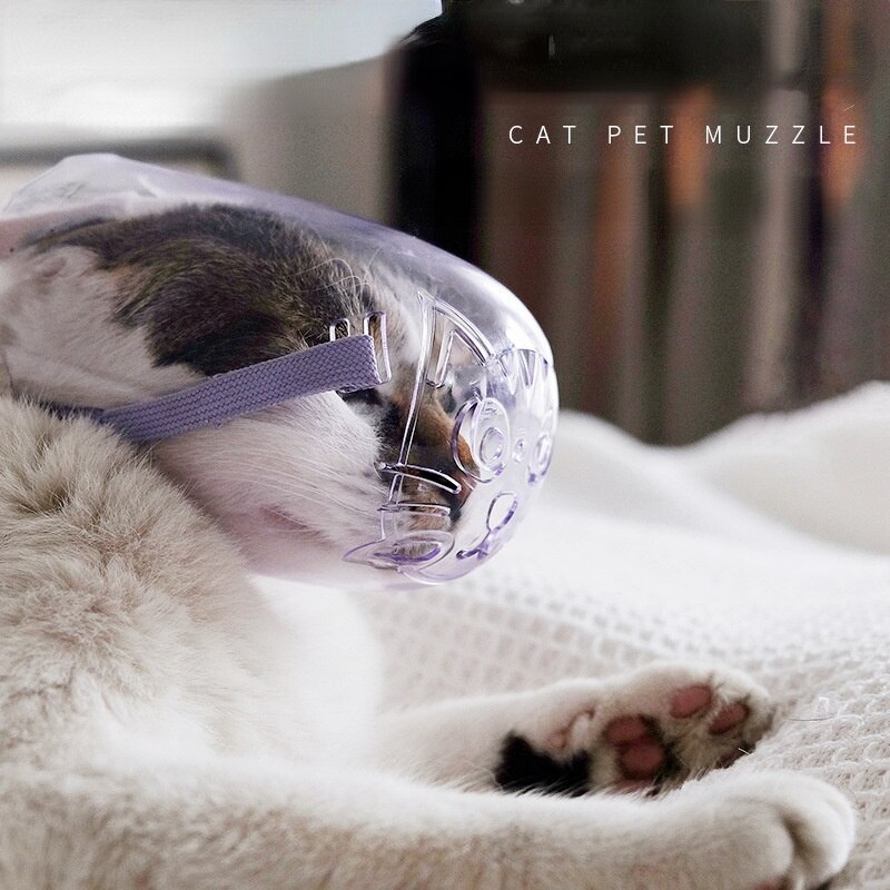 Muselière transparente Anti-morsure pour chat, couvre-chef Anti-morsure pour chaton, masque de bain, toilettage, accessoires pour chats