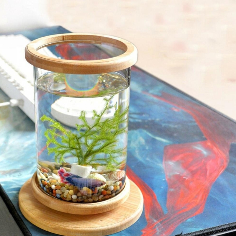 Manual Rotating Glass Fish Tank with Base Mini Cylinder Desktop Aquarium for Betta Diameter 10 cm Height 15 cm