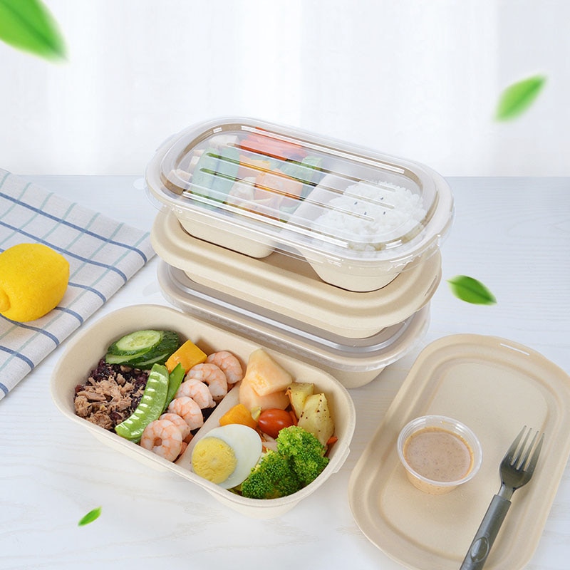 10 PCS Bento Box Eco-Friendly Lunch Box Food Container Disposable Pulp Microwavable Dinnerware Home Healthy Material Lunch Box