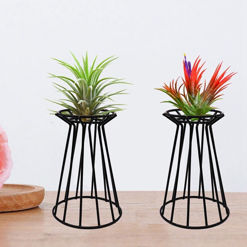 2 Metalen Air Plant Tillandsia Base Houder Tafelblad Streptophylla Air Plant Display Stand Rekken