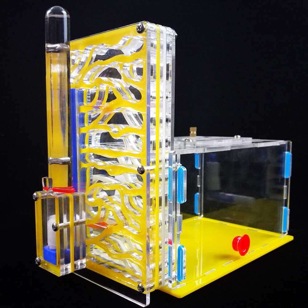 Ant Nest Ant Farm With 2 Nests 1 Water Tower 1 External Water Bowl Ant Home DIY Feeding Area Insect Villa Pet Mania House