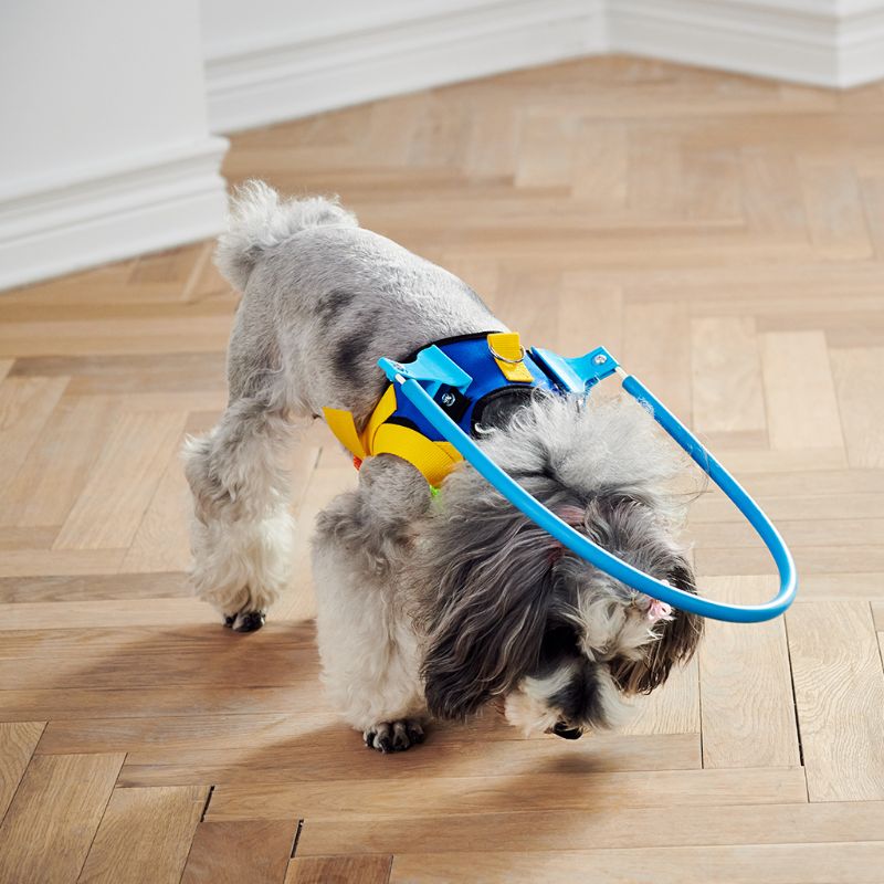 Blind Dogs Pet Safe Harness Anti-collision Ring Pets Weak Color Guide Circle Animal Protection Collar Rings for dog clothes