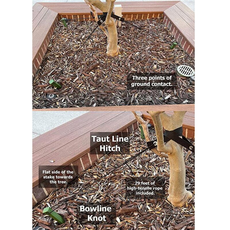 12 Inch Young Trees Protect Against Wind Tree Stake Kit Tree Support Straps With Rope Plant Support Anchors