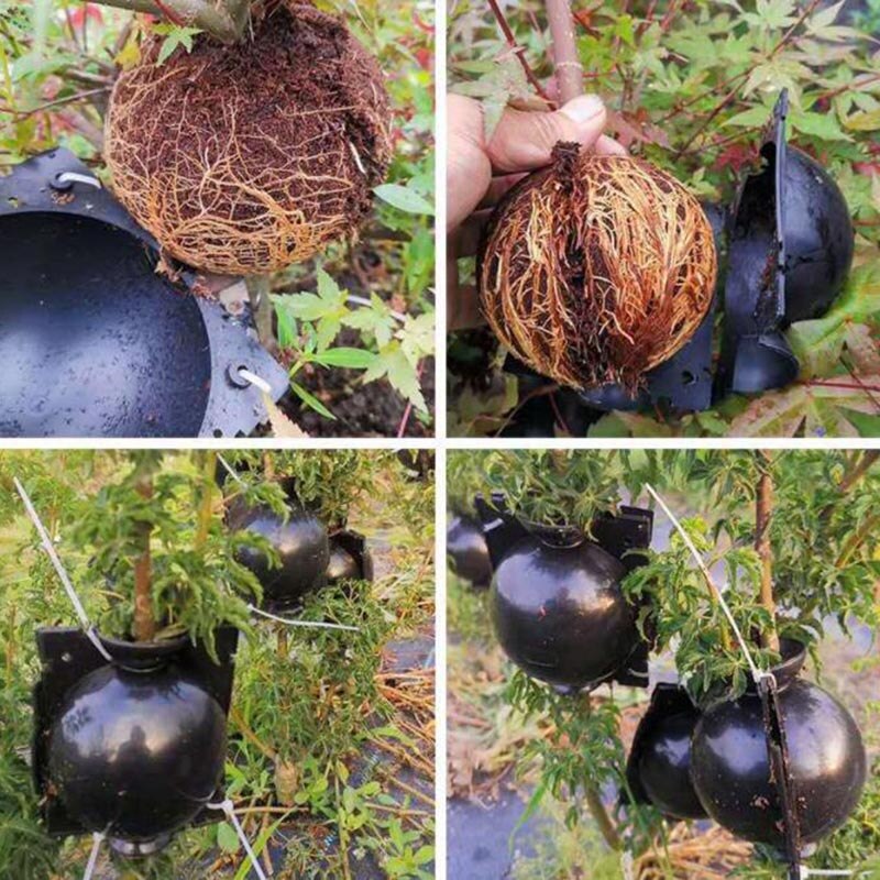 Fruit Plant tree Rooting Ball Root box plastic case propagation Box Grafting Rooter Growing High-pressure breeding ball