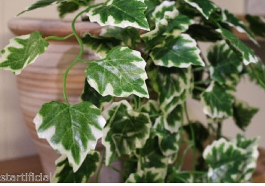 Sztuczne sukulenty perły mięsista zielona winorośl gałęzie ściany wiszące plastikowe rośliny rattanowe spadek domu dekoracje ślubne w kształcie kwiatów: 1