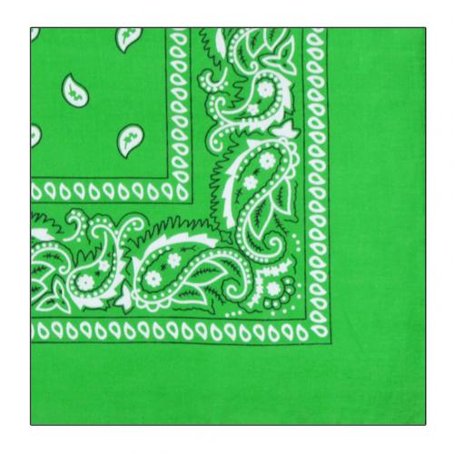Paisley bandeau Bandana écharpe bandeau serre-tête bandeau femmes cheveux accessoires bandeau serre-tête bandeau coiffure: Dark Green