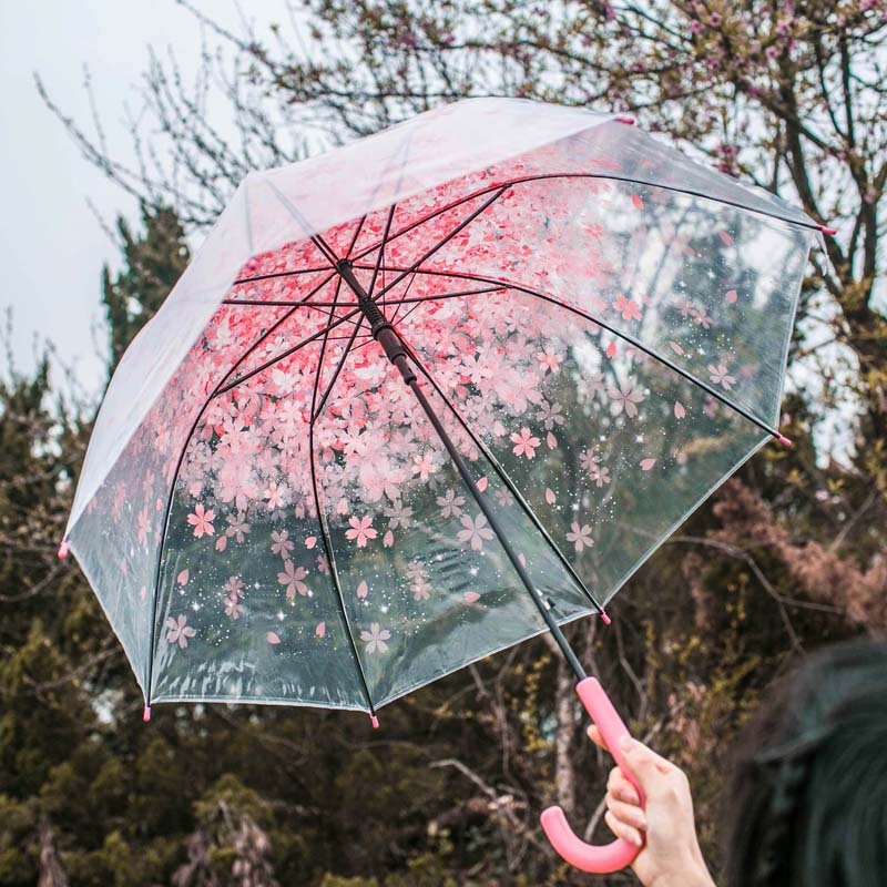 Yada gennemsigtig pvc paraply til drenge piger klar kirsebærblomst paraplyer barn lang håndtag paraply  ys708