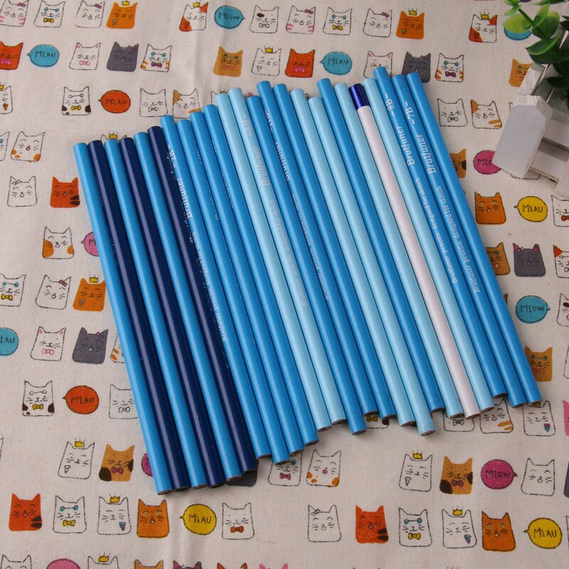 24 pc kolpennor set skissa kol ritning penna mjuk medelhård målning pennor konst höjdpunkt skiss kol penna