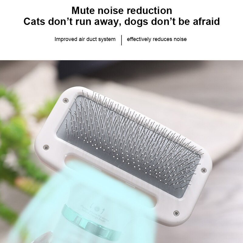 Brosse sèche-cheveux pour animaux de compagnie, peigne pour chien, chiot, chat, toilettage, Air , soins, nettoyage