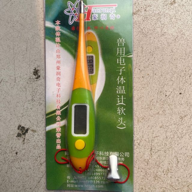 Veterinaire Elektronische Thermometer Pakket Hond En Kat Schapen Anus Thermometer Pig En Hond Zachte Hoofd: with Rope Clip