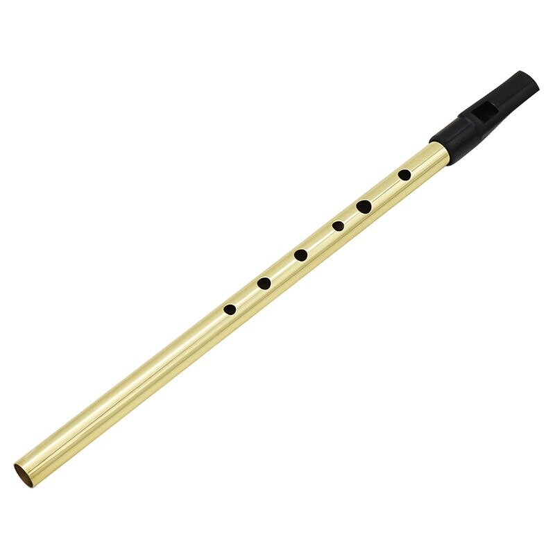 Irlandzki gwizdek irlandia flet gwizdek cyny gwizdek klucz D grosz gwizdek 6 otworów flet pieśniarz mini kieszeń instrument muzyczny złoty