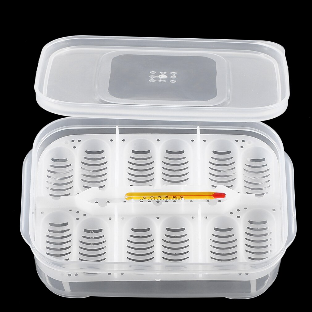 Practical Plastic 12 Holes Reptile Egg Incubation Tray With Thermometer Incubating Snake Eggs Incubation Tool Terrariums