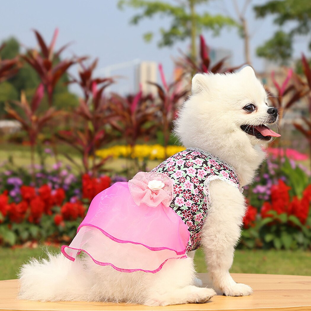 Summe Pet Prinses Rok Bloem Schattige Mode Puppy Dress Pet Kleding Kitten Kleding Meisje Prinses Kleding Pak Kinderen Kleding