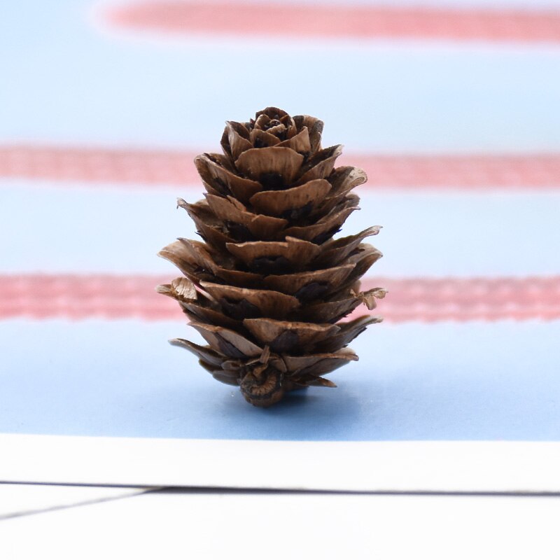 30 peças de cone de pinheiro para decoração de casa, natal, álbum de recortes, flores, plantas artificiais, atacado, caixa de presentes diy, guirlanda