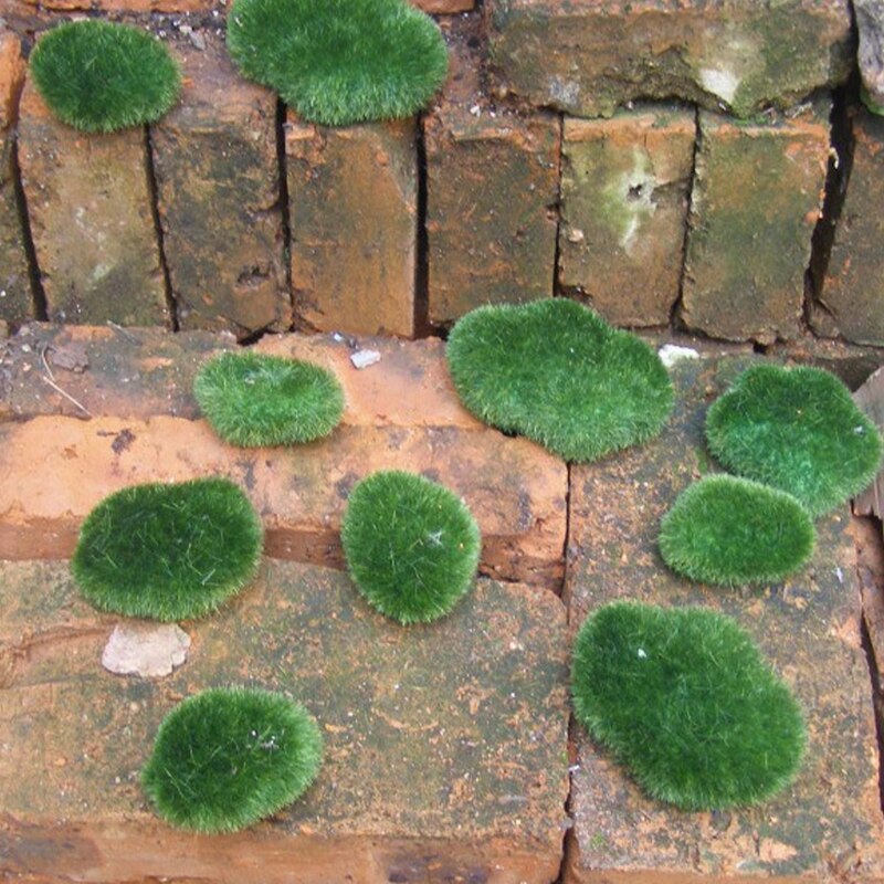 10Pcs Moss Balls Decorative Stone Artificial Simulation Garden Vase Filler