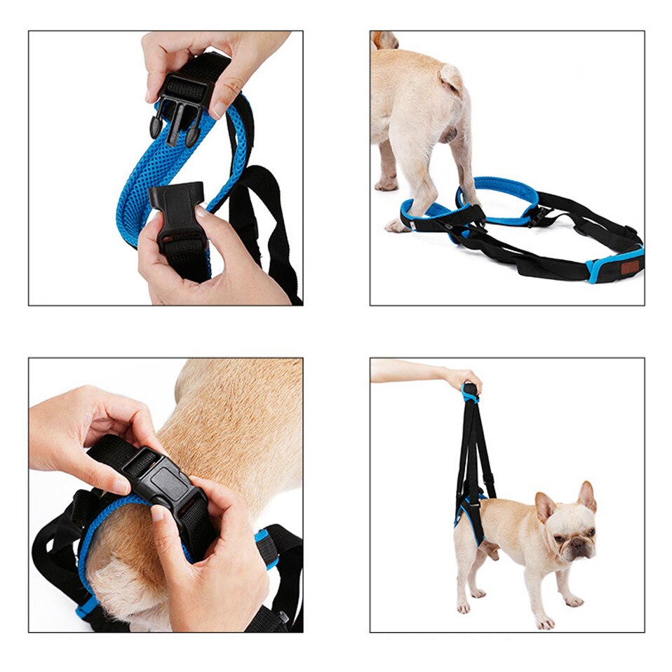 Neue Pet Bein Riemen Walking Halterung Hund Bein Gürtel Hinterbeine Unterstützung Harness mit Unterstützen Sling für Alte Verletzt Hunde
