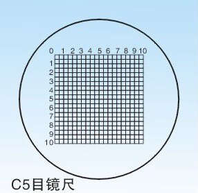 Diameter 19mm Microscope Slides Reticle Calibrating Slide Ruler Microscope Calibration Ruler Stage Micrometer: C5