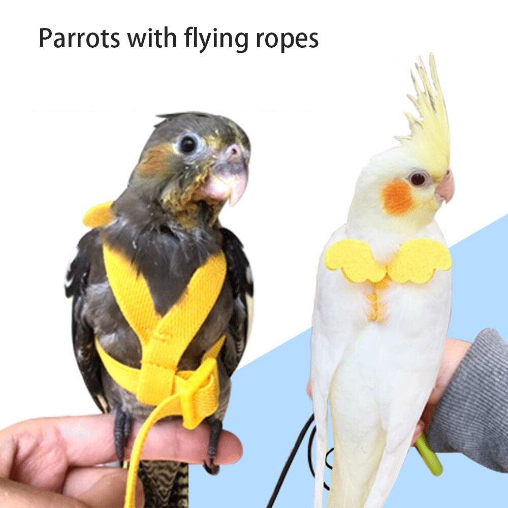 Set di guinzagli regolabili per imbracature per pappagalli corda da volo per allenamento all&#39;aperto con ala per piccoli accessori per animali domestici Budgie di medie dimensioni