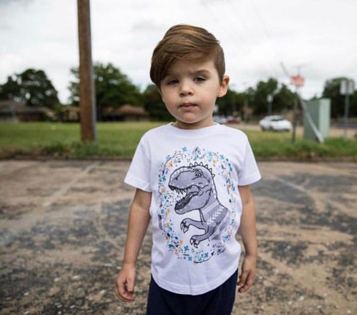 Meninos meninas dinossauro camisa dinossauro crianças t meninas dinossauro camisas dinossauro sauro manga curta roupa presente de aniversário para crianças