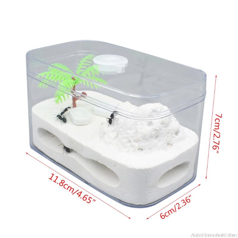 Ant Farm Clear Plastic Box Ant Plaster Home for Kid Study of Ant Behavior Ant Nest Farm Educational Formicarium for Ant