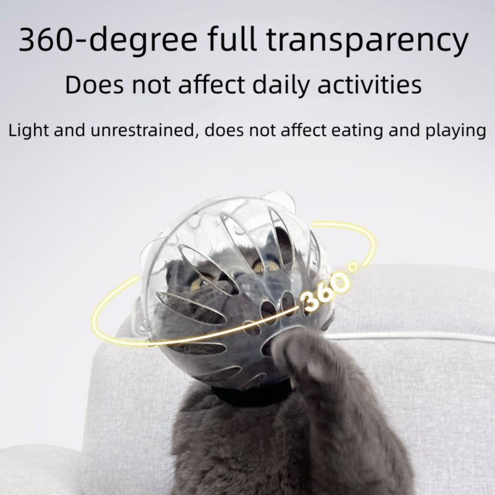 Masque muselière respirant et robuste, couvre-tête de chat, capuche spatiale, casque de protection pour chaton en forme de boule, Anti-morsure, fournitures de toilettage pour animaux de compagnie