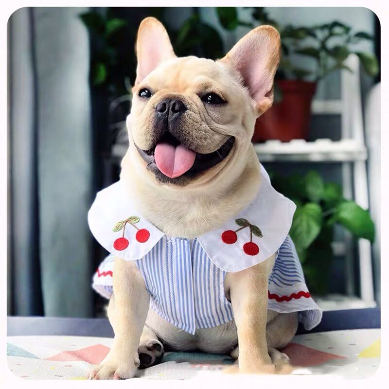 Franse Bulldog Rok Jurk Hond Kat Shirt Zomer Kleding Voor Kleine Middelgrote Honden Vest Puppy Pug Teddy Konijn Kleding ZZC13