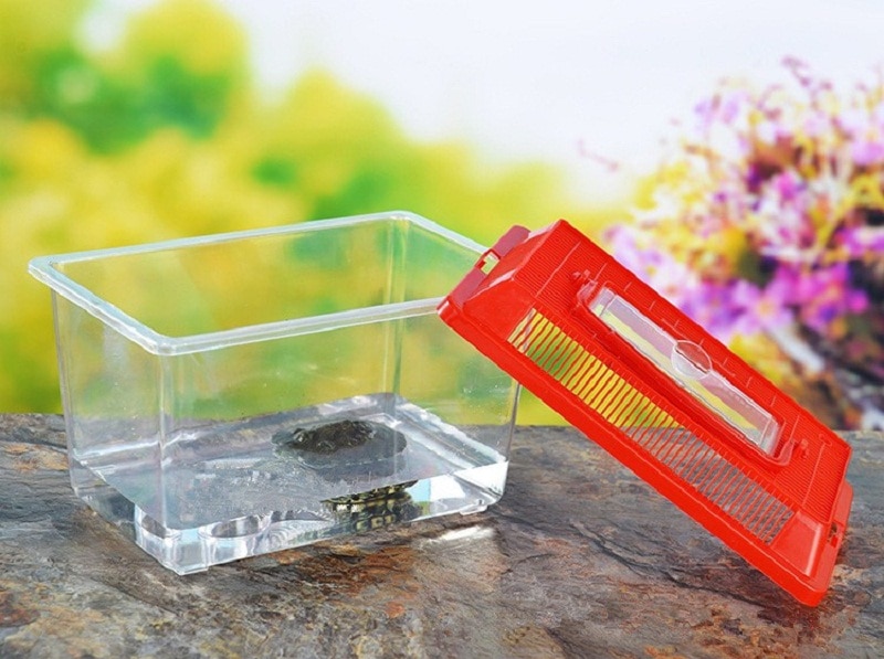 6 st akvarium mini akvarium guldfisk skål sköldpadda husdjur reptil sköldpadda bur foder box office skrivbord spindel ödla hamster hus
