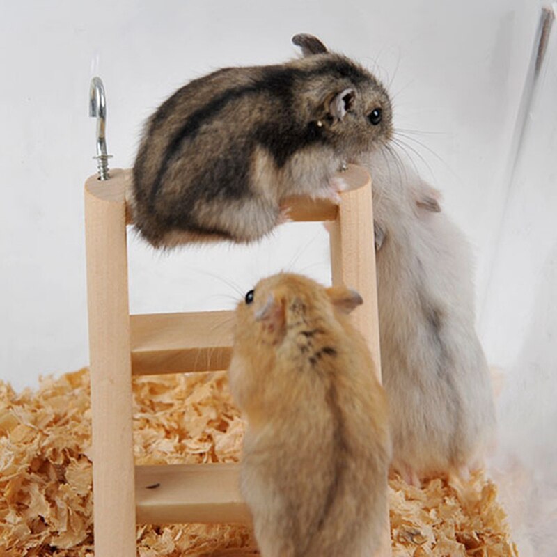 Wooden Ladder Hamster Ladder Small Pet Toy Stairs Wooden Bird Ladder Budgie Hamster Rodent Cage Ladders