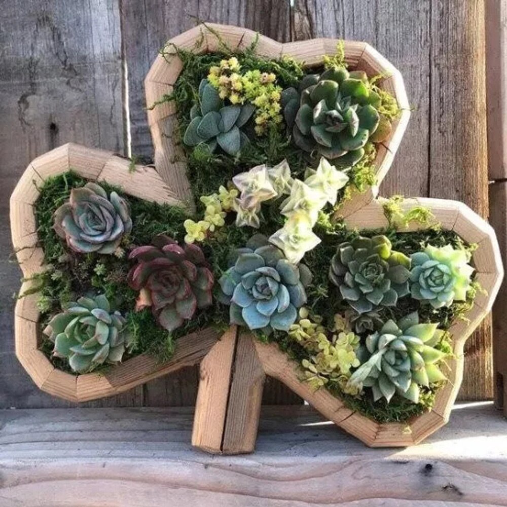 Pot de fleurs en bois pour animaux, plantation de plantes de jardin, Micro Pot de paysage, décoration ,: B no flowers / L 35cm