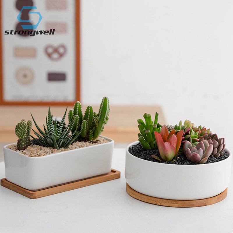Succulents White Porcelain Flower Pots Round Rectangular Home Garden Refreshing Ceramic Pots Balcony Green Planting