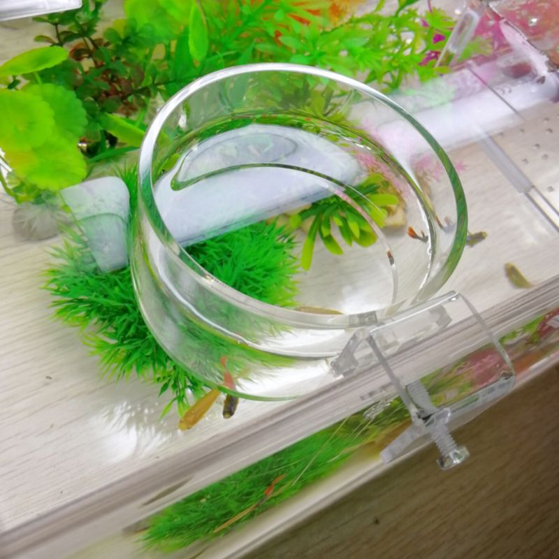 Bærbar fisk foder ring akvarium fodring fodring cirkel gennemsigtig akryl anti-spredning feeders