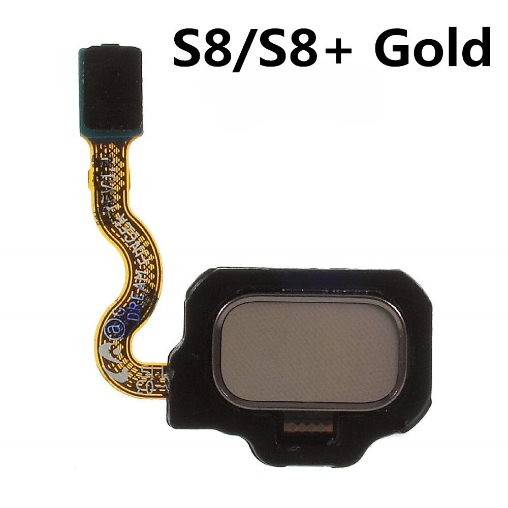 Original Parts Fingerprint Sensor Home Button Flex Cable for Samsung Galaxy S8 S8+ Plus SM- G950 G955,Black Silver Grey: GOLD