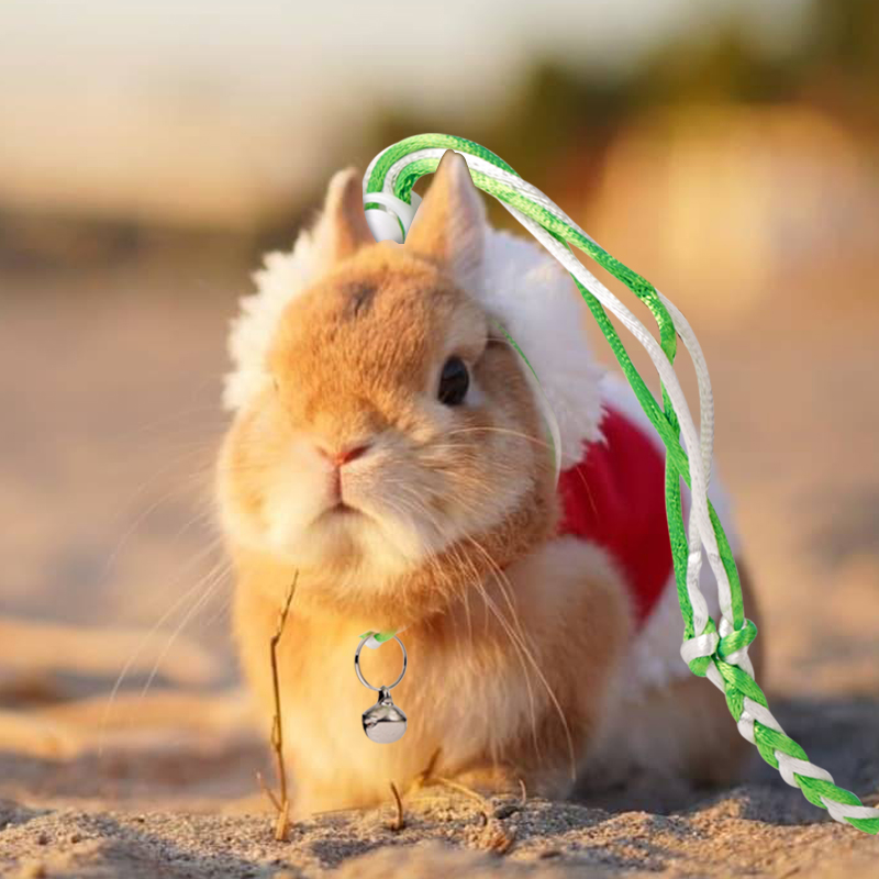 1.4/2m Hamster Traction Rope Small Pet Leash Harness Rope Gerbil Rope Harness Lead Collar Rat Mouse Hamster Pet Cage Leash