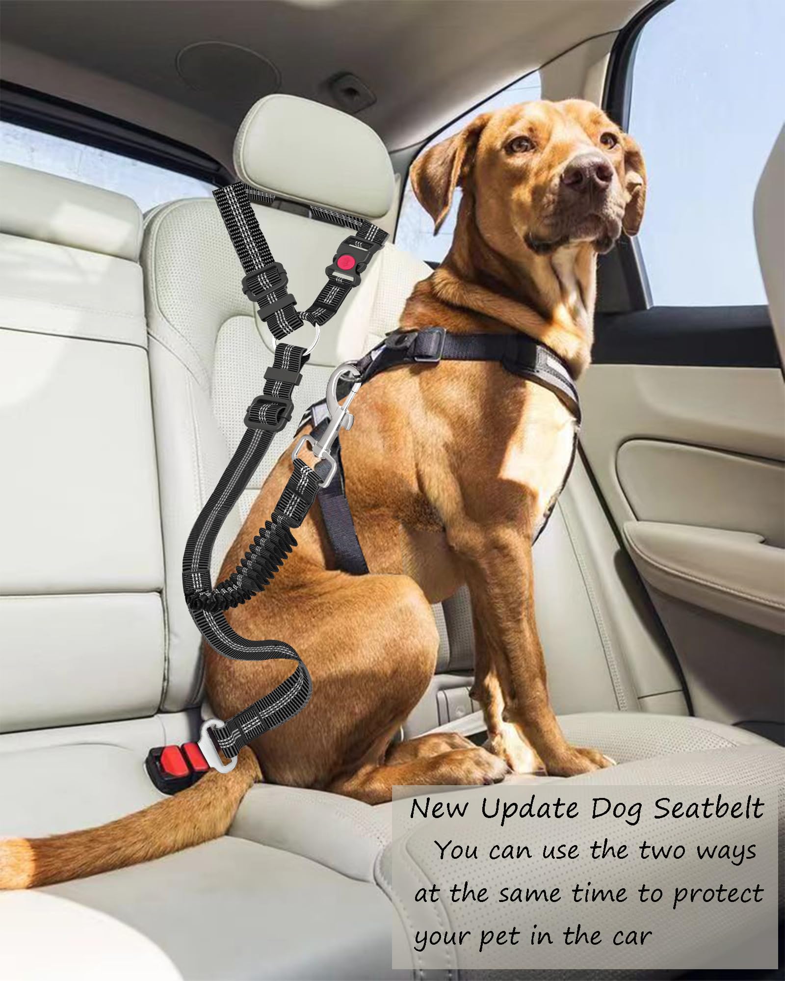 Ceinture de sécurité de voiture pour chien réglable et robuste – Grande corde de Traction pour chien en nylon rayé pour les promenades en voiture
