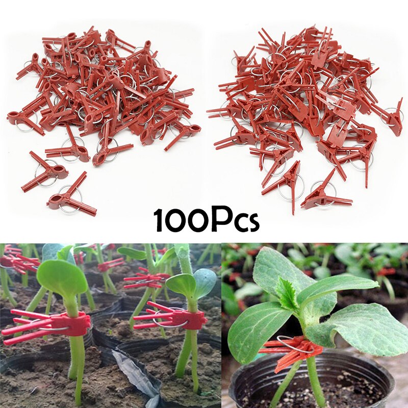 ESTILO DE 100 Uds. Tenazas de injerto de plástico duraderas para jardín, tomate, flor, enredadera, plantas