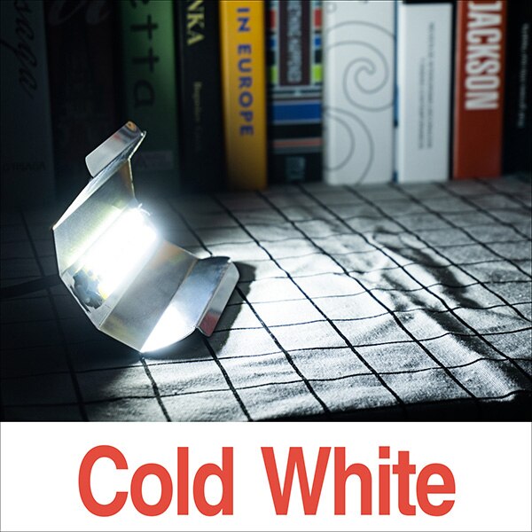 Led kweekverlichting volledig spectrum 30w 50w 80w led fytolamp  ip65 220v fitolamp voor binnenkas plantengroeilicht fitolamp: Koud wit / 80w 220v