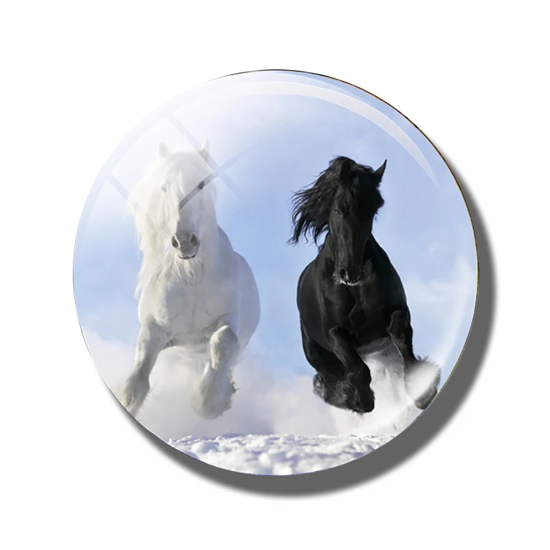 Pferd 30 MM Kühlschrank Magnet Glas Kuppel Cabochon Magnetischen Kühlschrank Aufkleber Hinweis Halfter Nette Tiere Wohnkultur: Freier Raum