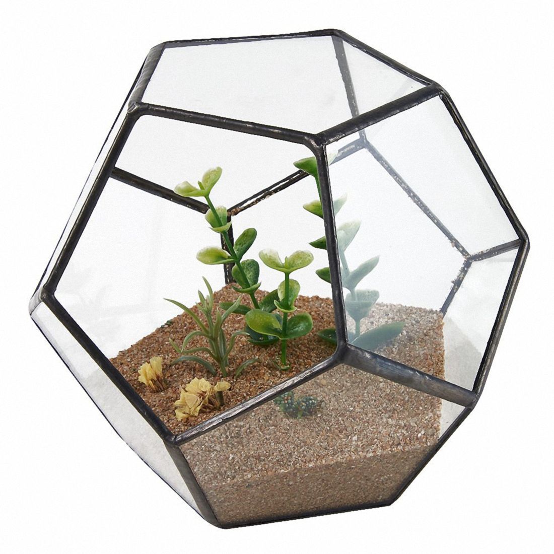 Pentagonal Pot Black Glass Pentagon Geometric Terrarium Container... – Grandado