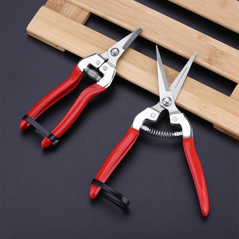 Tijeras para floristería, herramienta para podar árboles, podadora manual de jardinería, tijeras de jardín, recortadora de hojas, tijeras de podar rectas con micropunta, 1 Uds.
