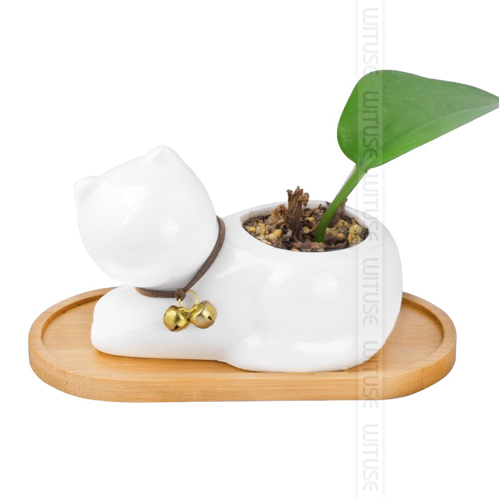 Wituse 12 stile blomsterkasser underkop keramisk sukkulent plantepotte potter bambus stativ desktop geometri glaseret vase bambus bakke