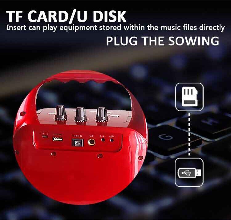 Portable Bluetooth PA System Speaker - 10 Inch Line Array Karaoke Party Amplifier