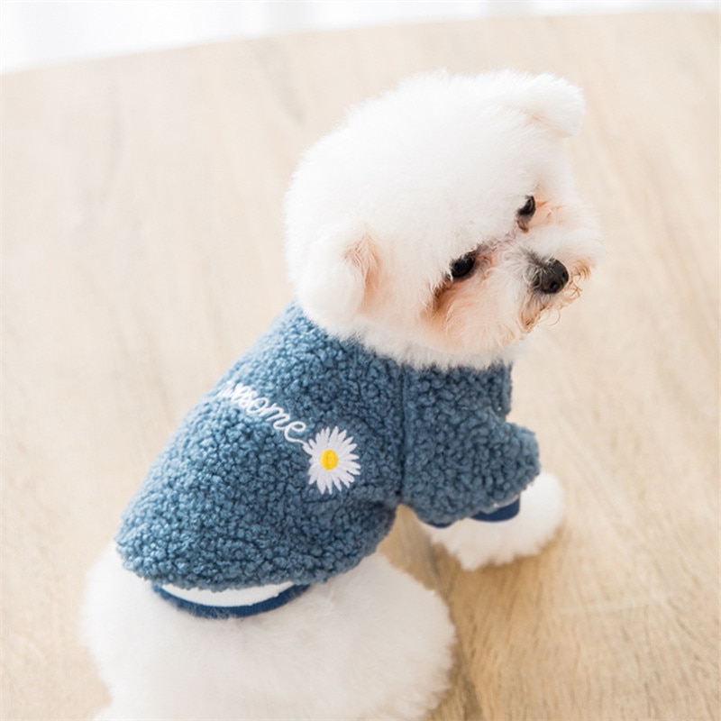 Kat Hond Hoodie Kleine Hond Kleding Winter Huisdier Kleding Puppy Outfit Chihuahua Maltese Yorkshike Terrier Poedel Pommeren Kostuum