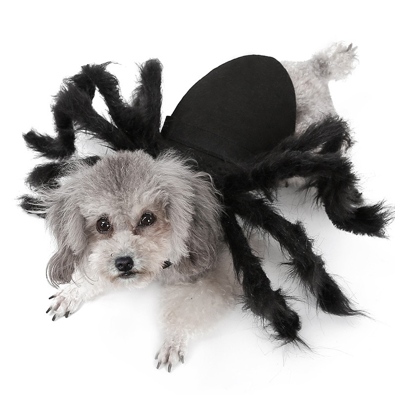 Disfraces de Halloween para perros pequeños, ropa para mascotas, gatitos, accesorios para mascotas