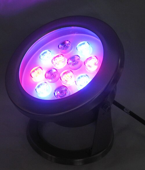 IP68,12W LED projector light,outdoor LED spotlight,led wall washer,led floodlight,12V DC,DS-10-39-12W,stainless steel