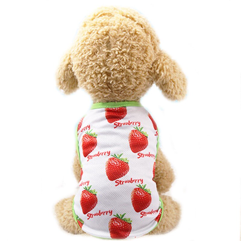 Leuke Zomer Hond Vest Kleding Banaan Fruit Patroon Puppy Hond Katten T-shirt Vest Sweatshirt Mesh Huisdieren Kleding DOGGYZSTYLE