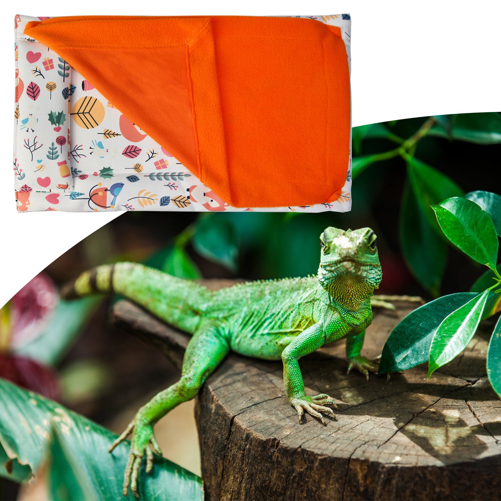 Baardagaam Reptiel Slapen Bed Reptile Slaapzak Hagedissen Slapen Deken Klein Dier Slaapzak Met Kussen Voor