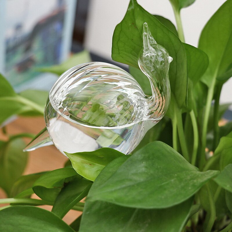 Plant Water Glass Plant Flowers Water Feeder Self Watering Bird Plant Waterer High Borosilicate Glass Flower Diameter